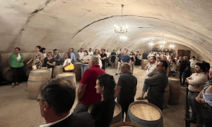 Vignerons-independants-Vigne
