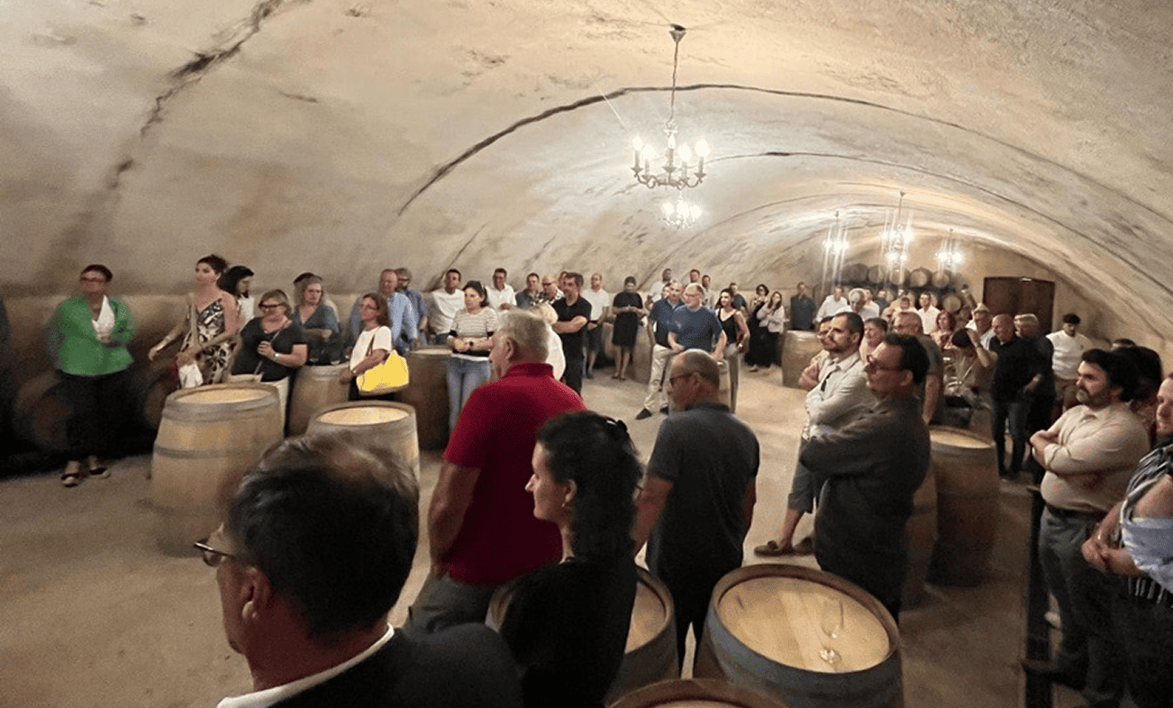 Vignerons-independants-Vigne