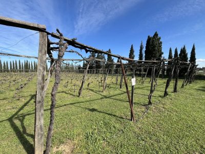 Vignerons independant congrès Gard domaine viticole